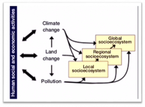 Conceptual Relationship Between Urbanization And Environment - Conserve ...